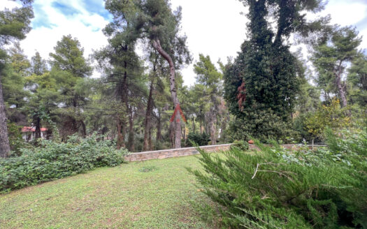 Βίλα προς πώληση Σάνη (Κασσάνδρα)