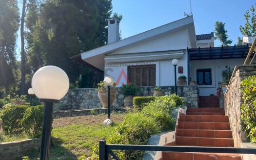 Villa for sale in Sani (Kassandra)